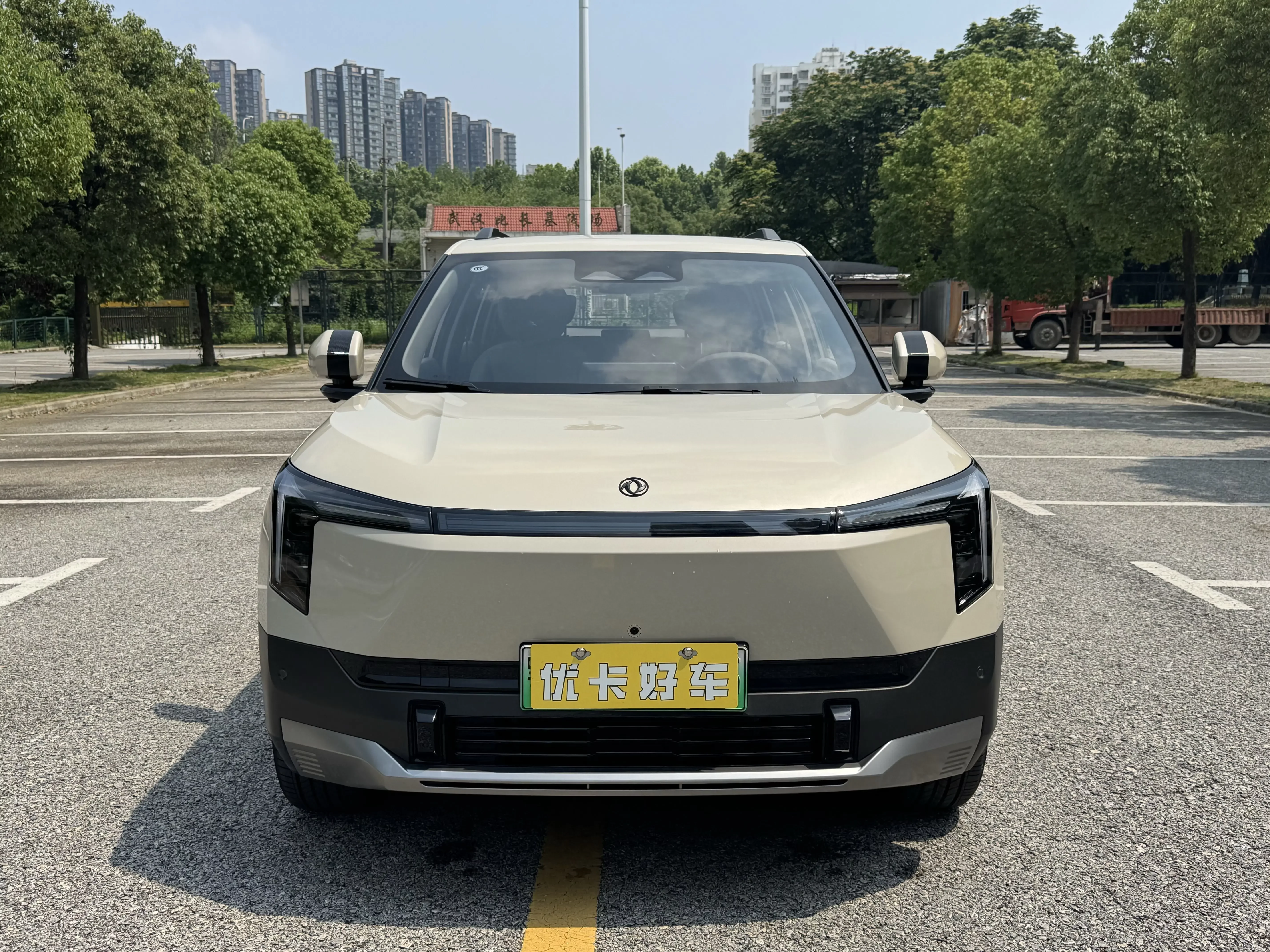 Dongfeng Nano 06