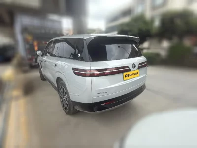 Denza Tengzhong N9 DM