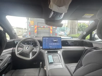 Denza Tengzhong N9 DM