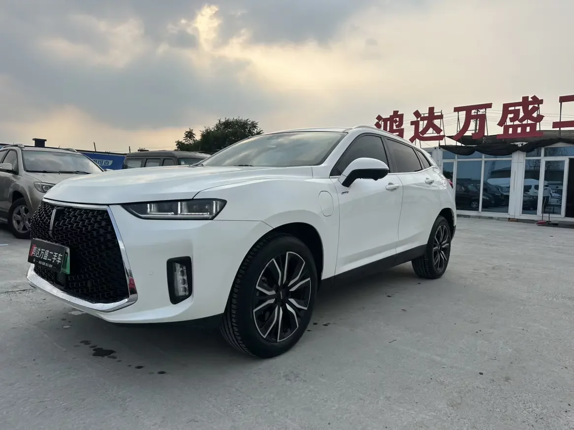 Wey Wei brand P8  из Китая