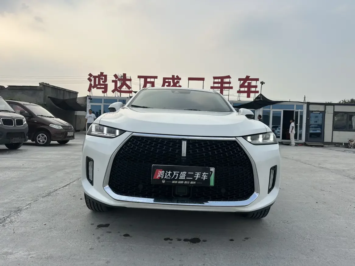 Wey Wei brand P8  из Китая