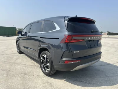 Hyundai Kustu