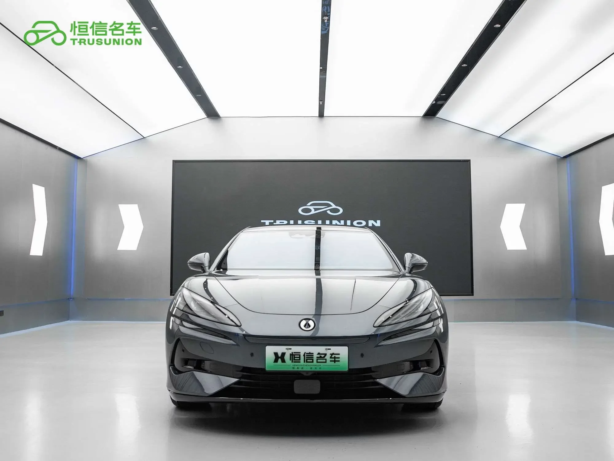 Denza Tengzhong Z9 DM