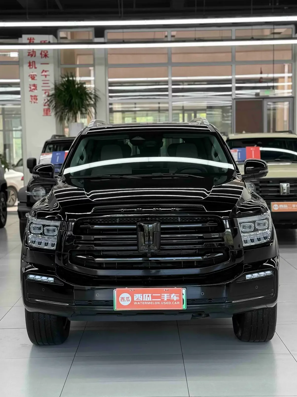 Tank 500 Hi4-T
