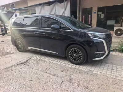 Denza D9 DM