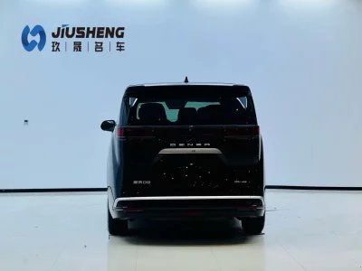 Denza D9 DM