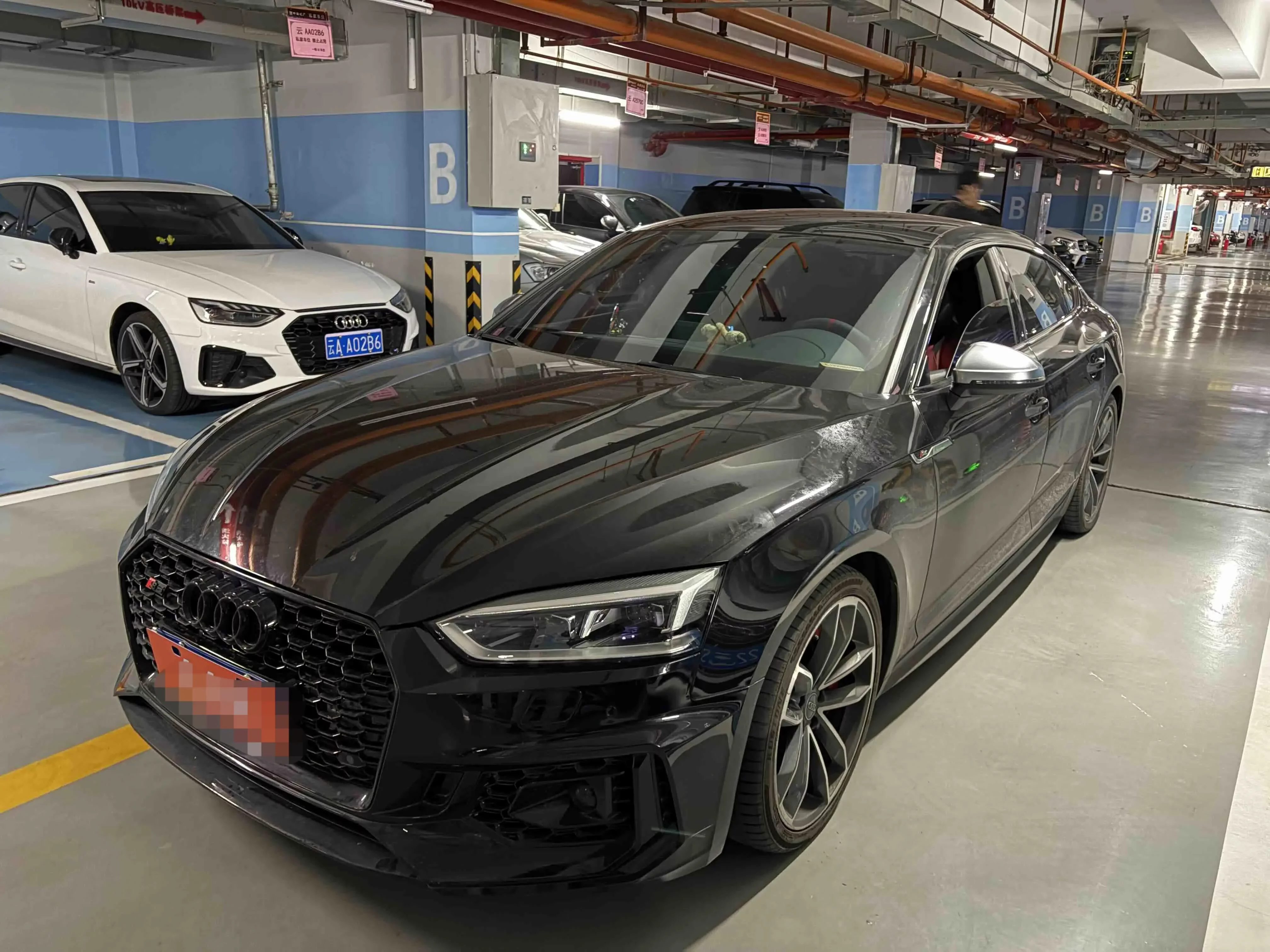 Audi S5  из Китая