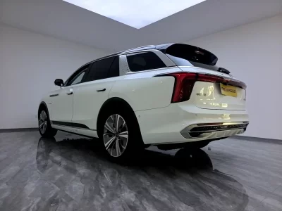 Hongqi E-HS9
