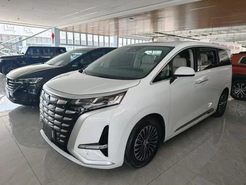 DENZA D9 DM