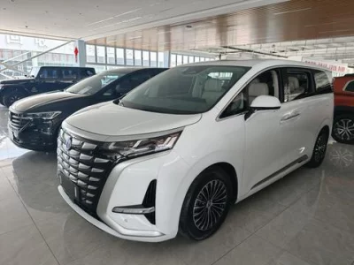 Denza D9 DM