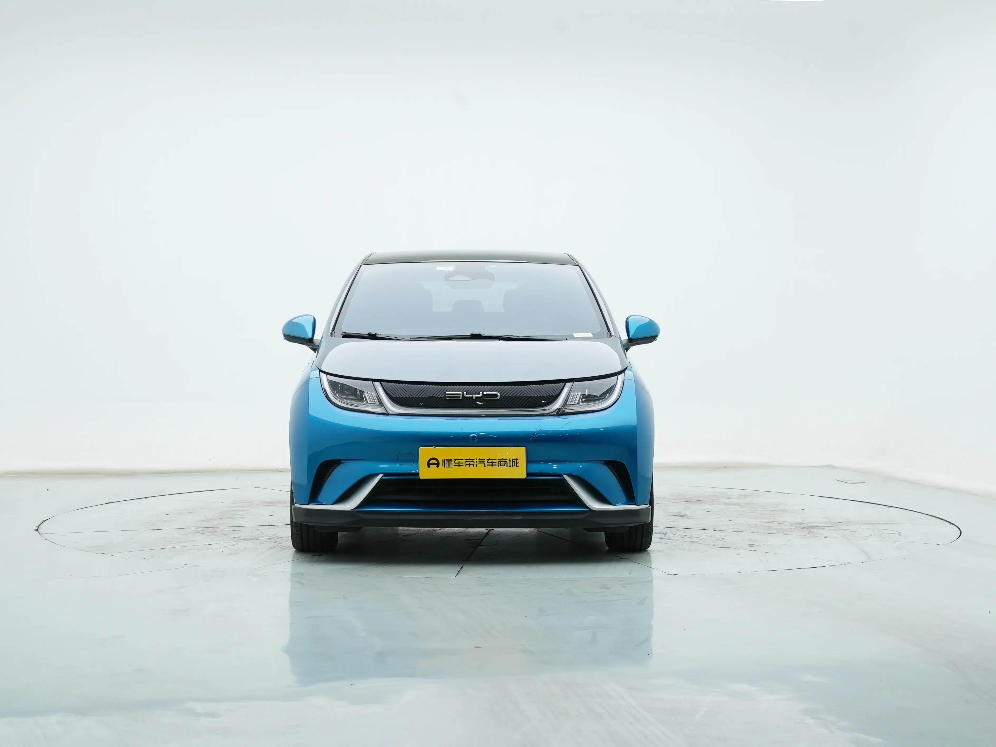 BYD dolphin