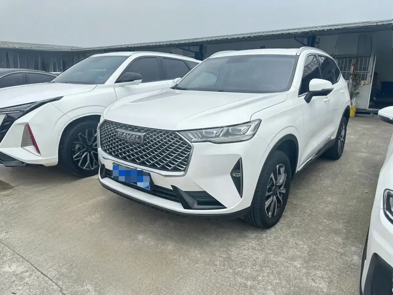 Haval H6