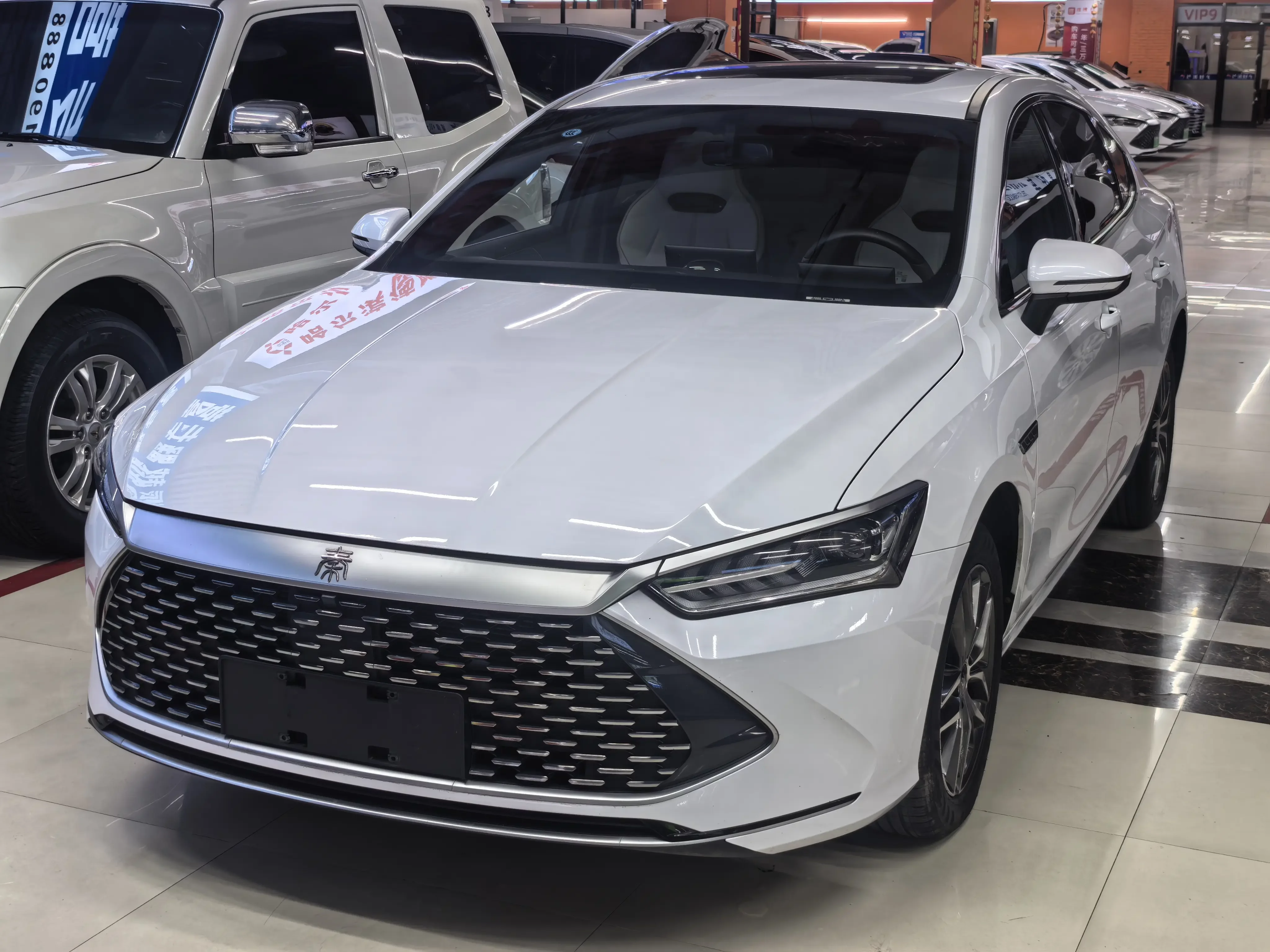 BYD Qin PLUS DM