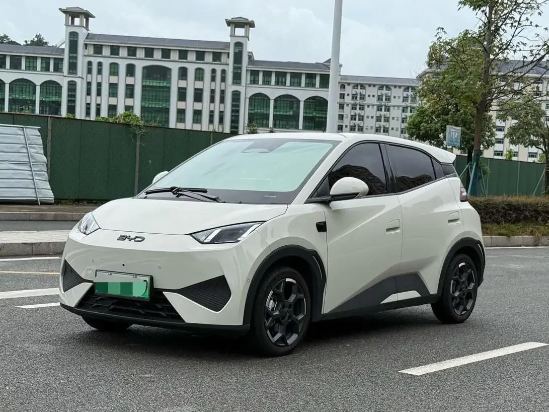 BYD seagull
