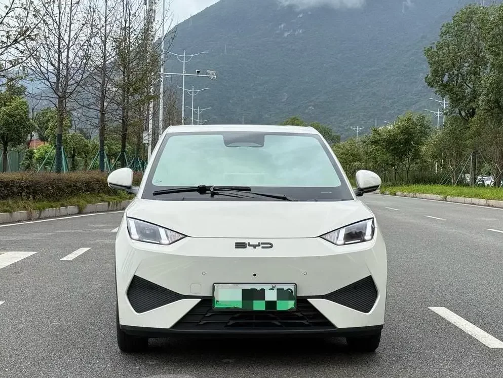 BYD seagull
