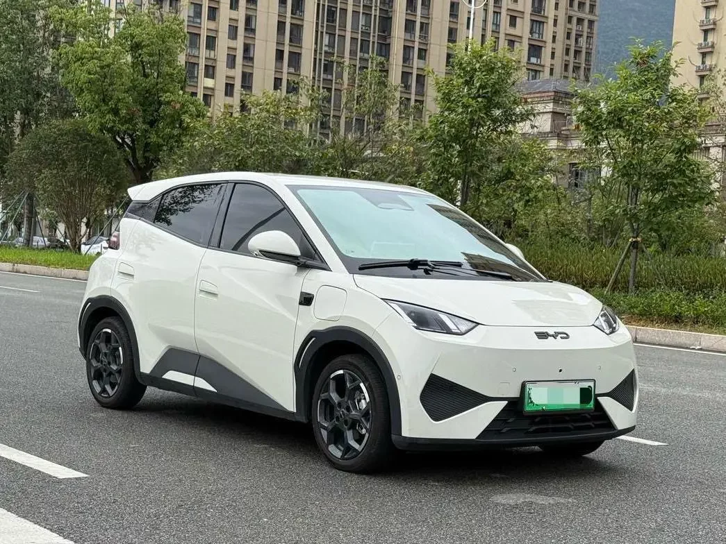 BYD seagull