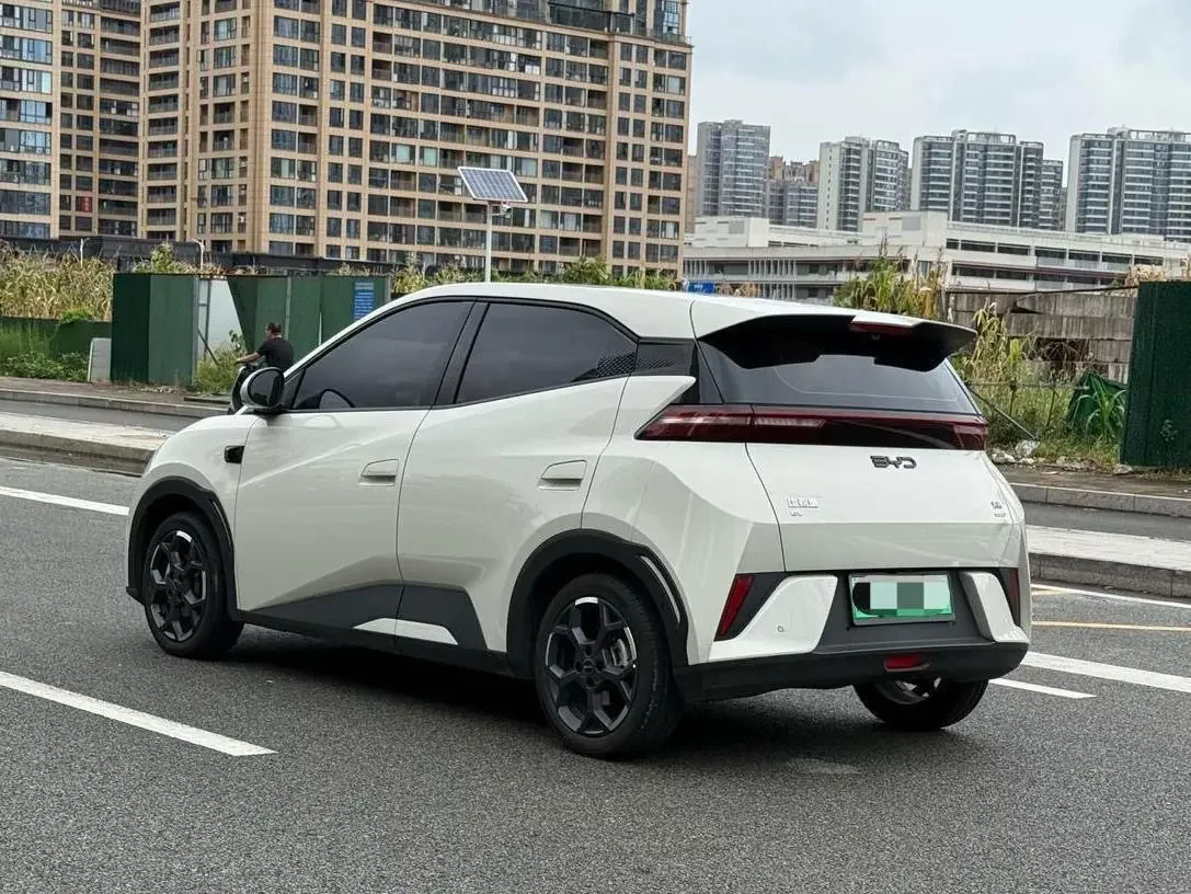 BYD seagull