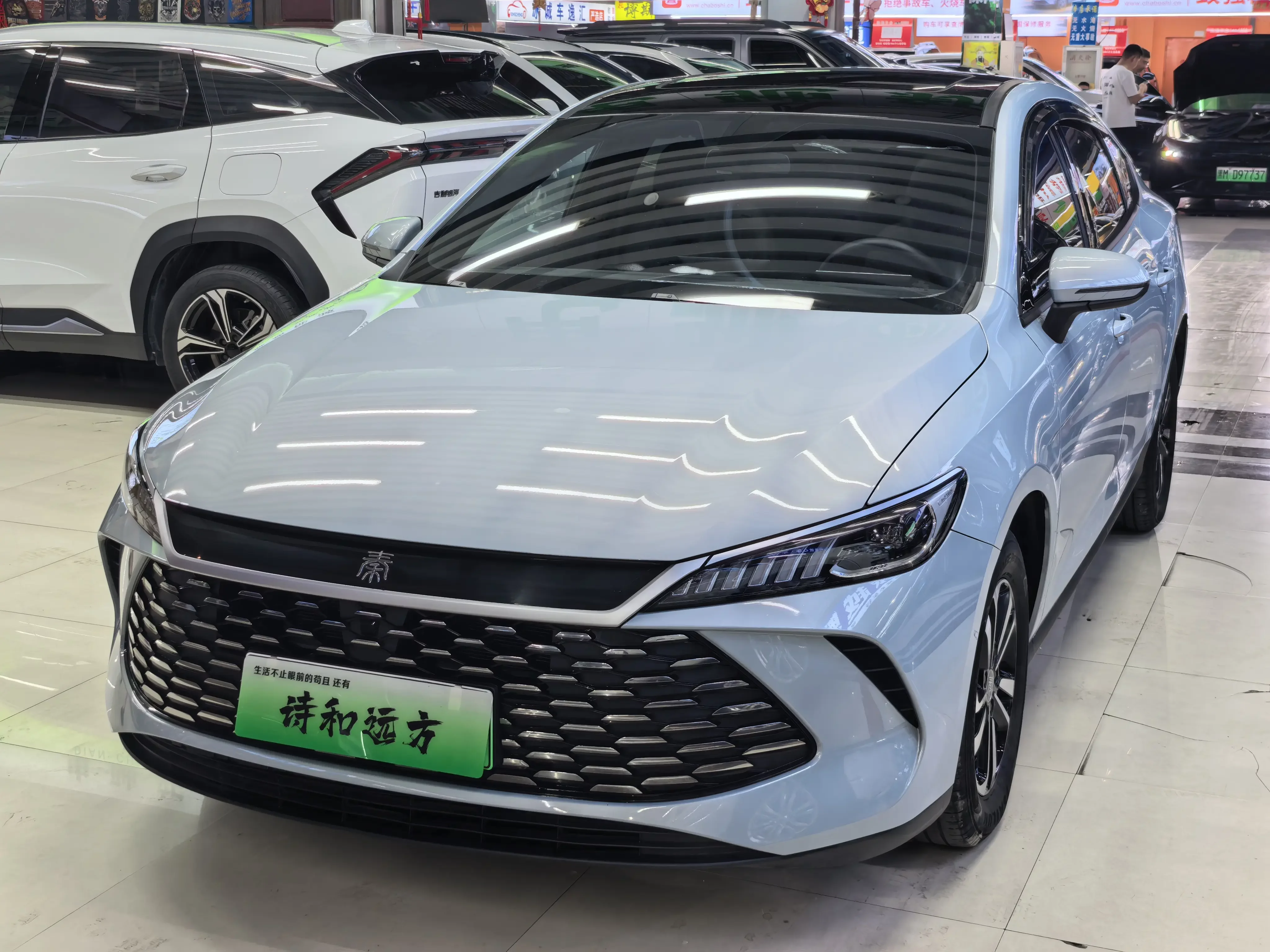 BYD Qin PLUS DM
