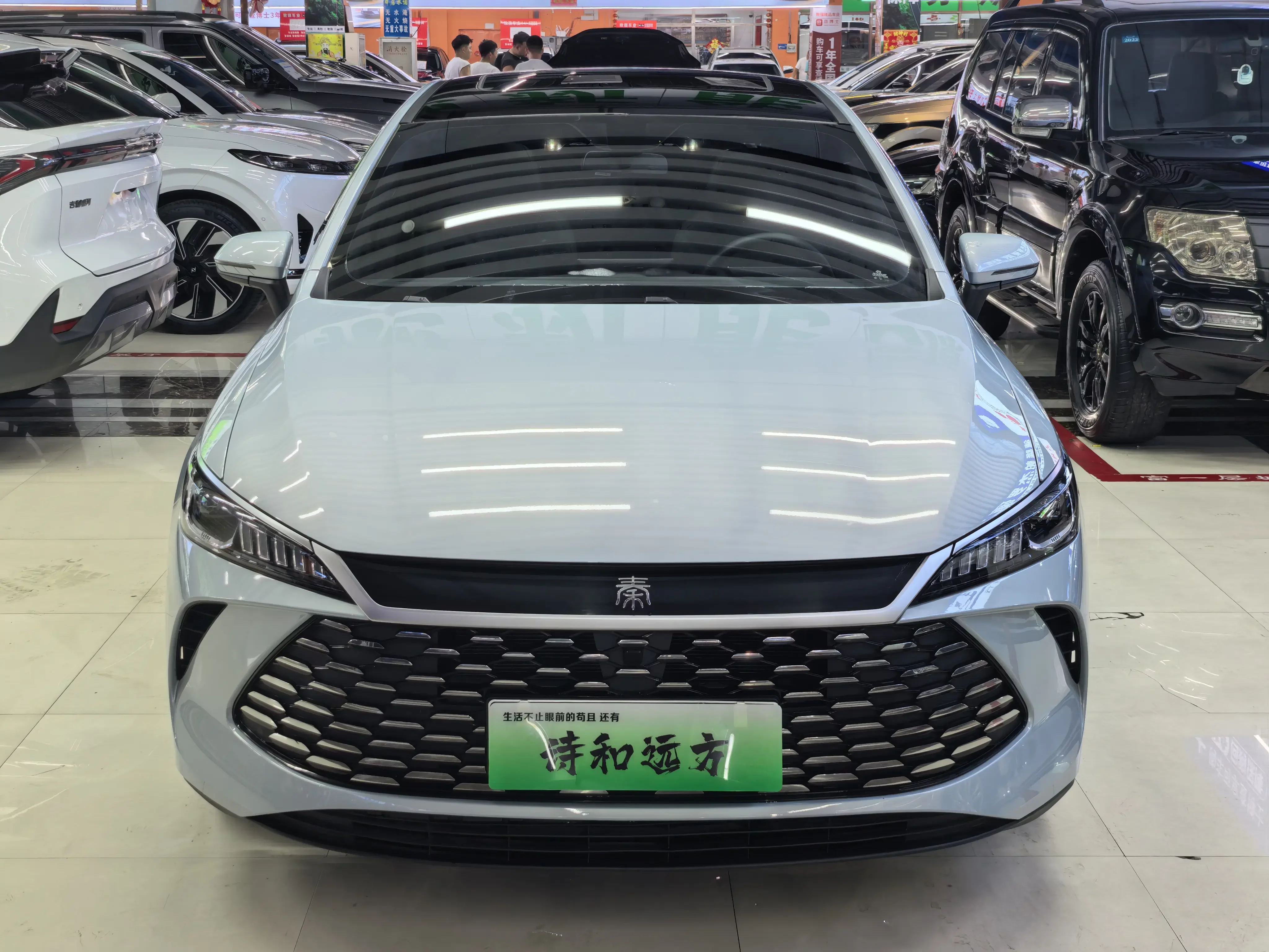 BYD Qin PLUS DM