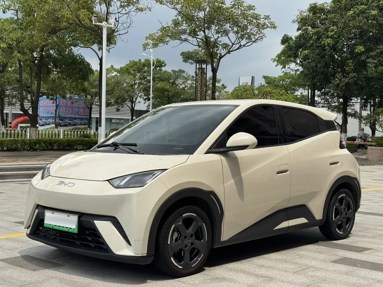 BYD seagull