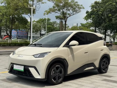BYD Seagull