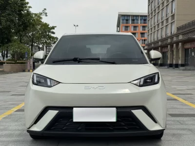 BYD Seagull