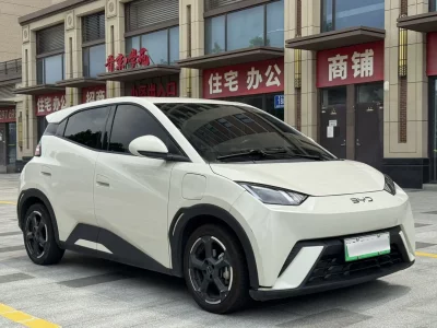 BYD Seagull
