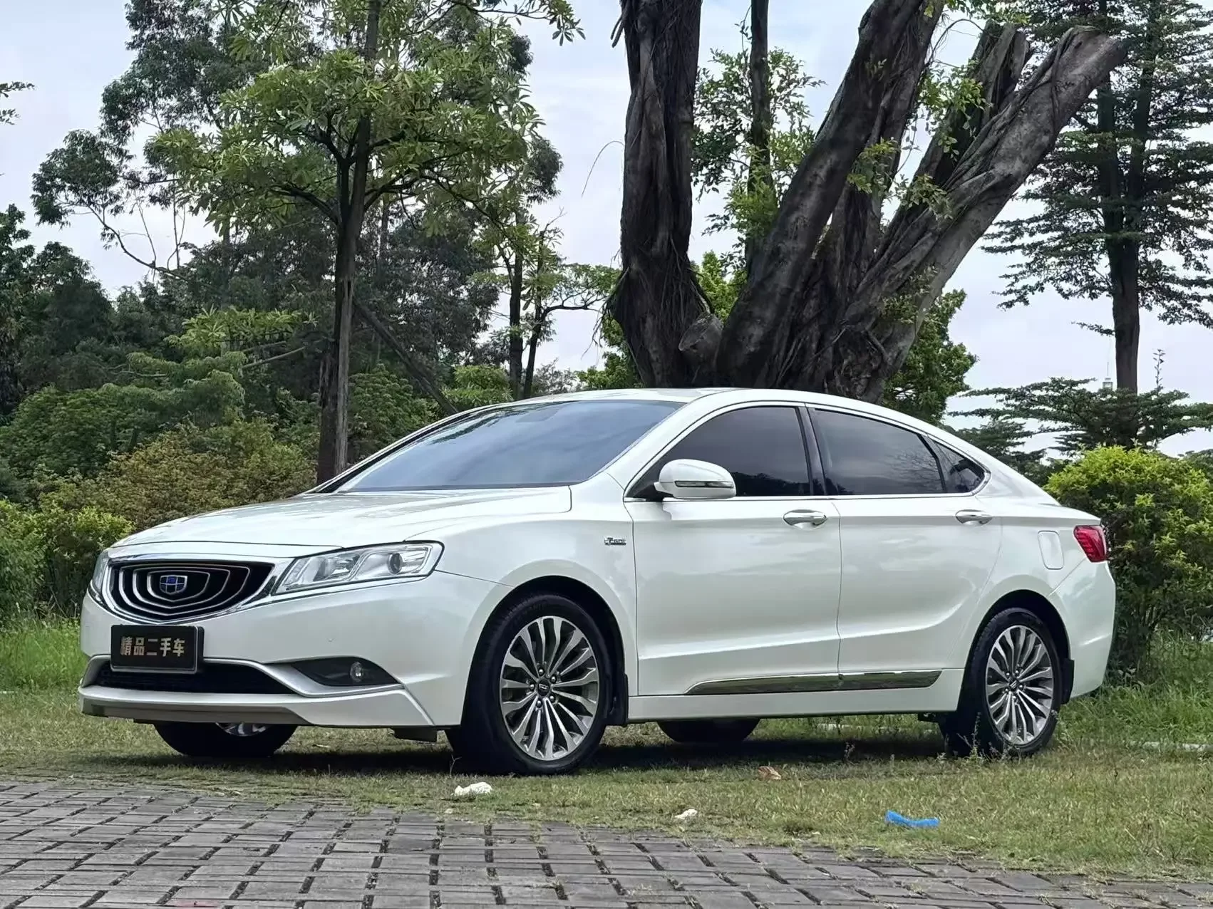 Geely Borui