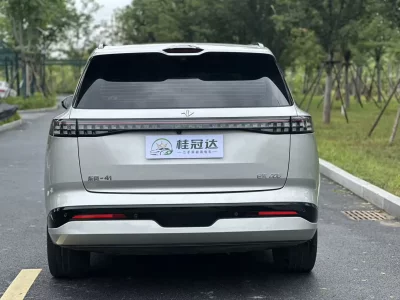 Dongfeng Yipai 008
