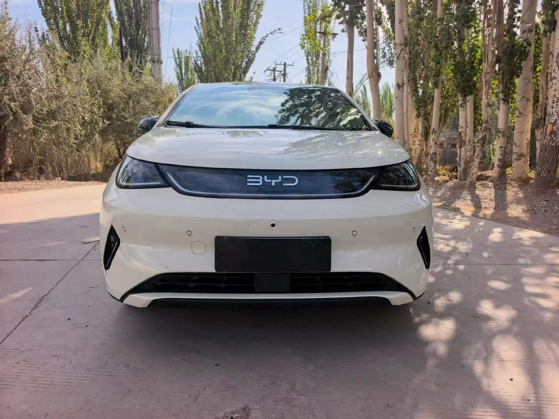 BYD dolphin