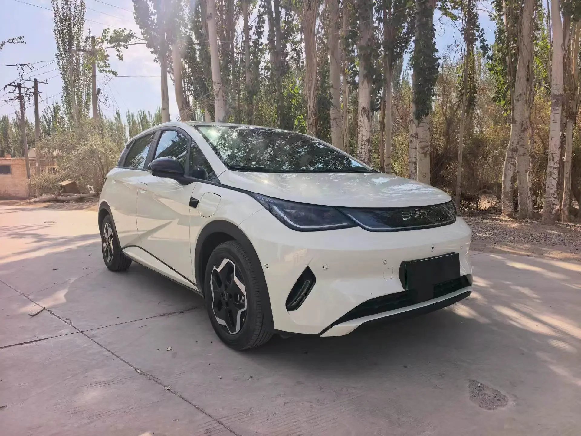 BYD dolphin