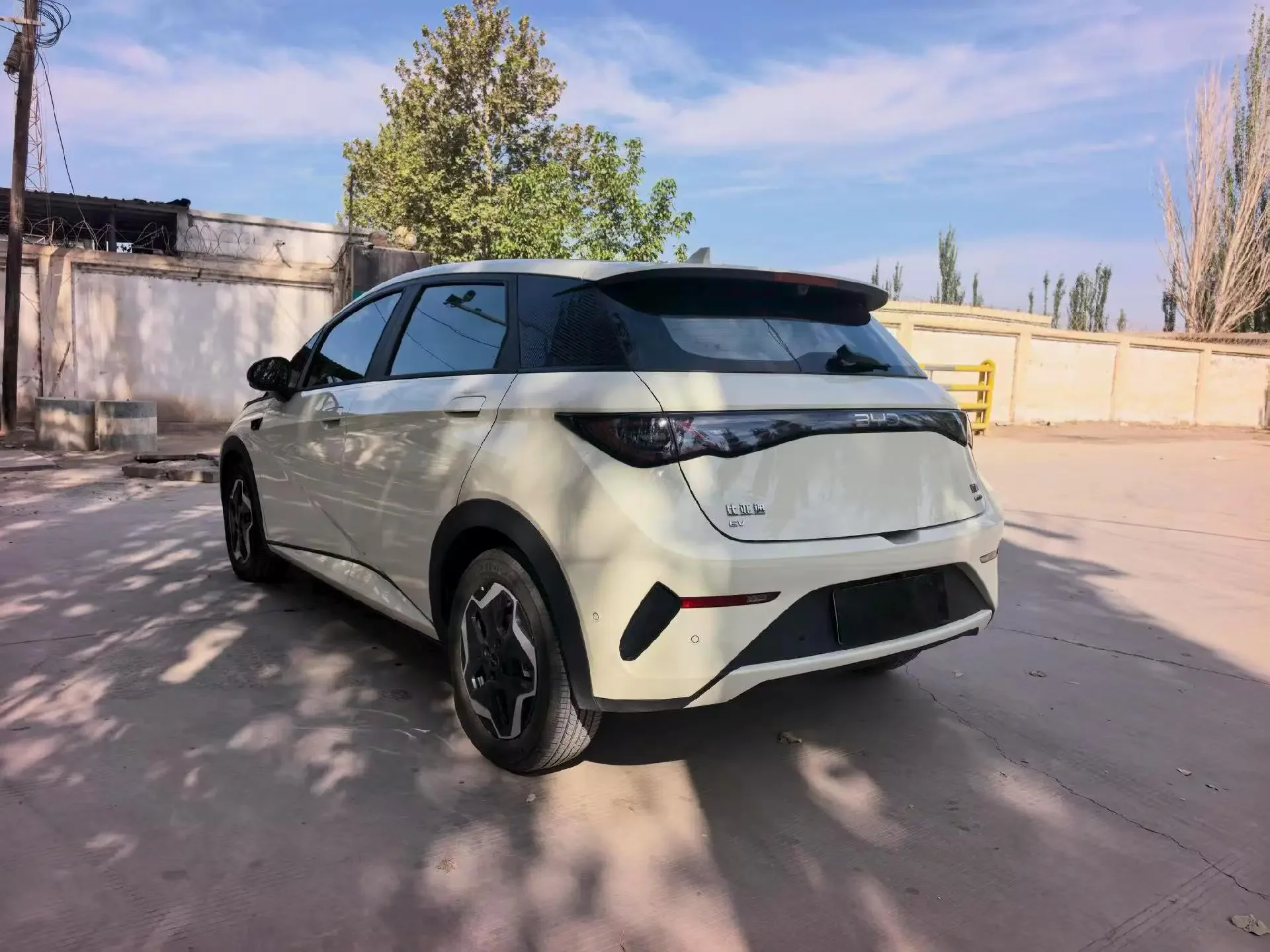 BYD dolphin