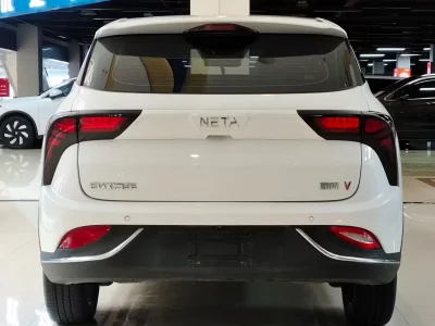 NETA V