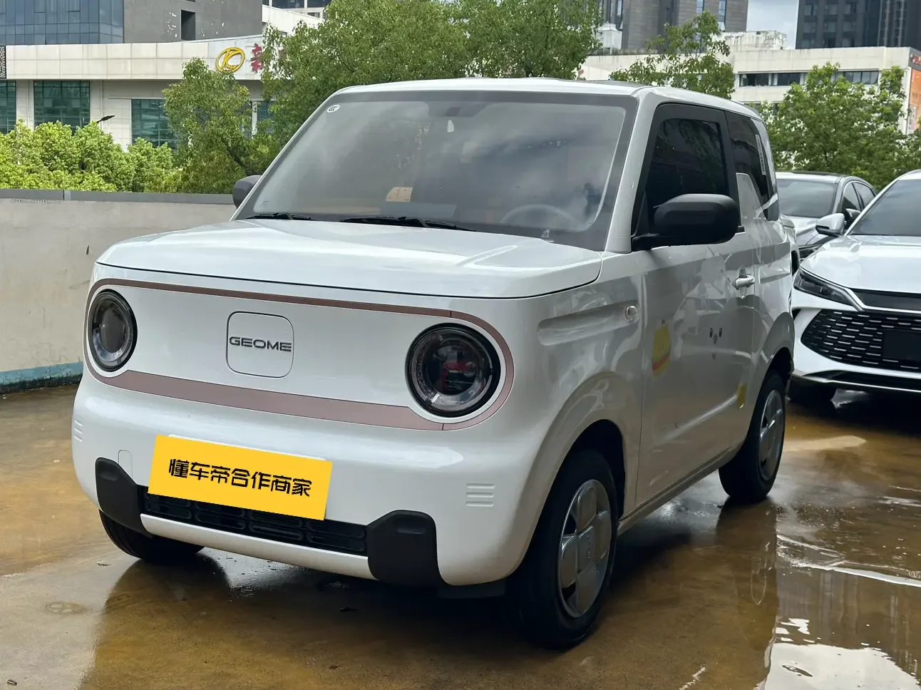 Geely panda