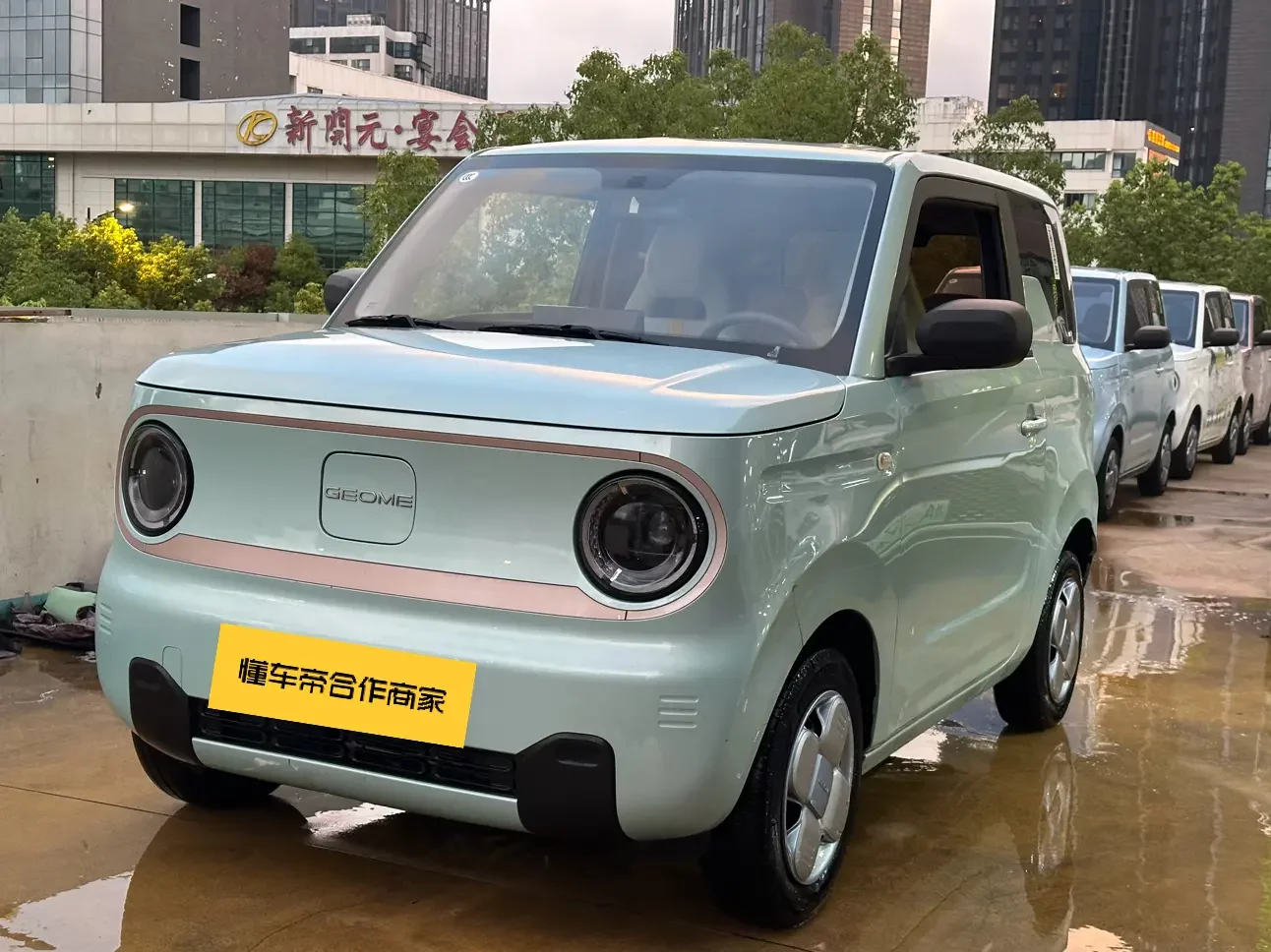 Geely panda