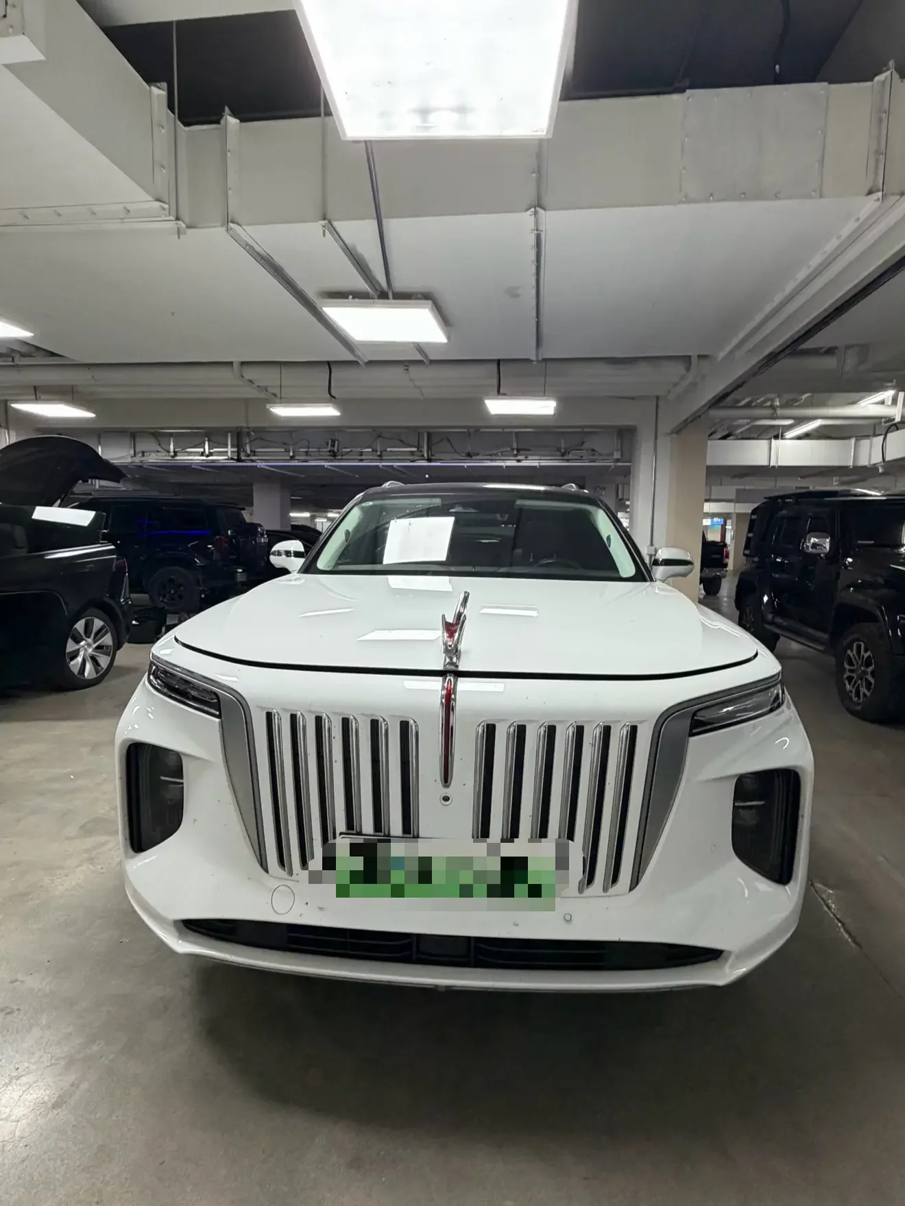 Hongqi E-HS9  из Китая