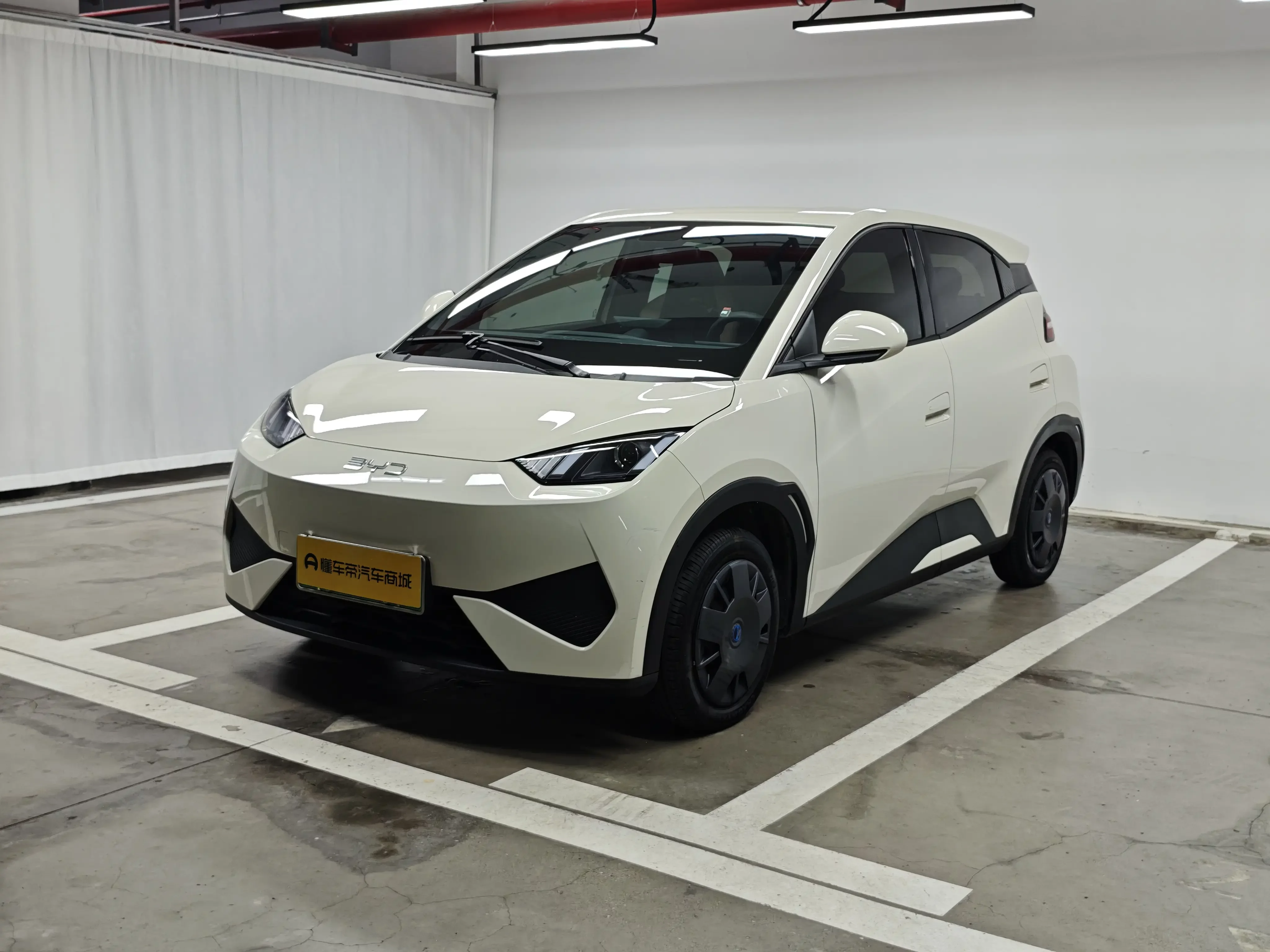 BYD seagull