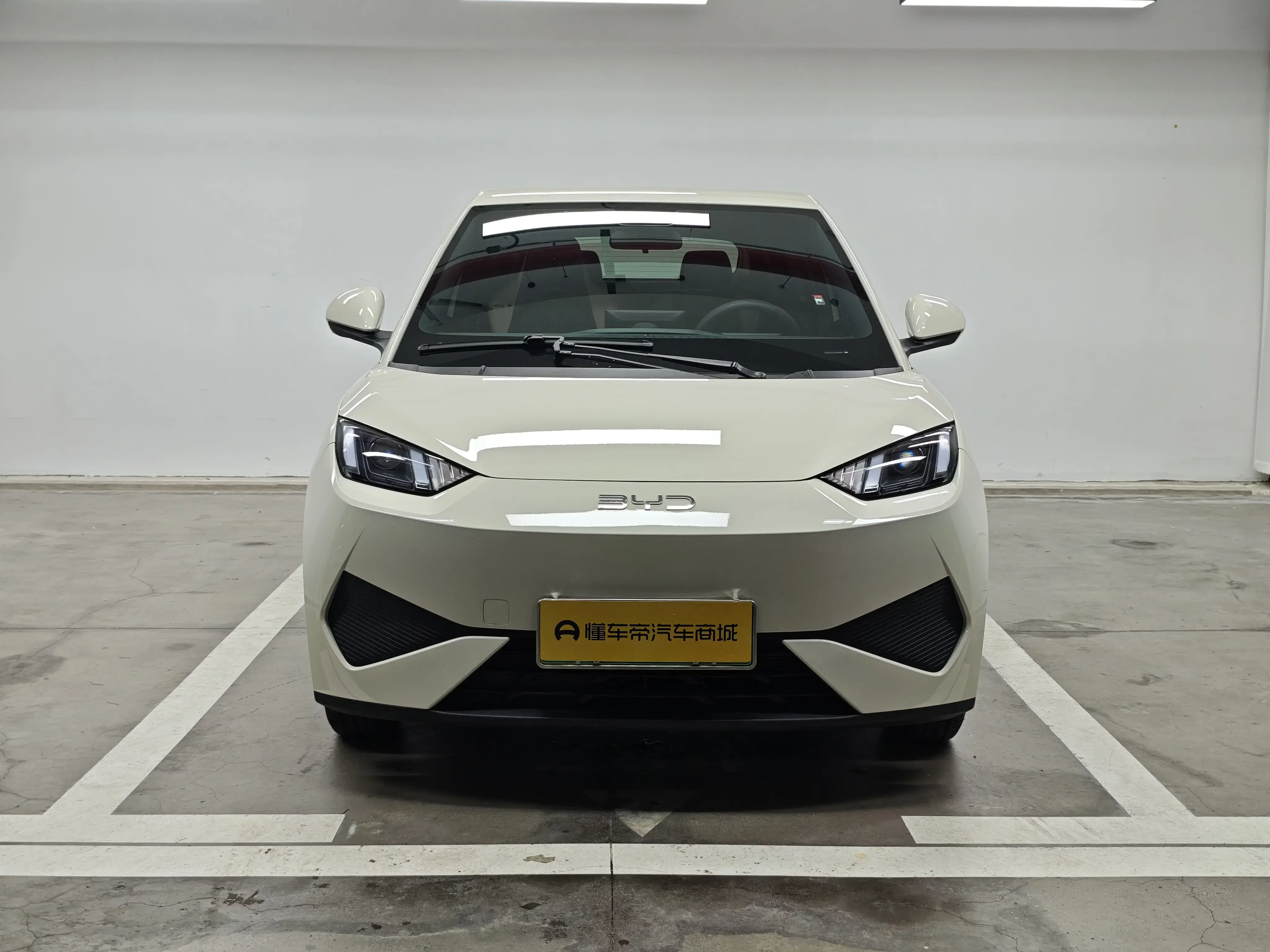 BYD seagull