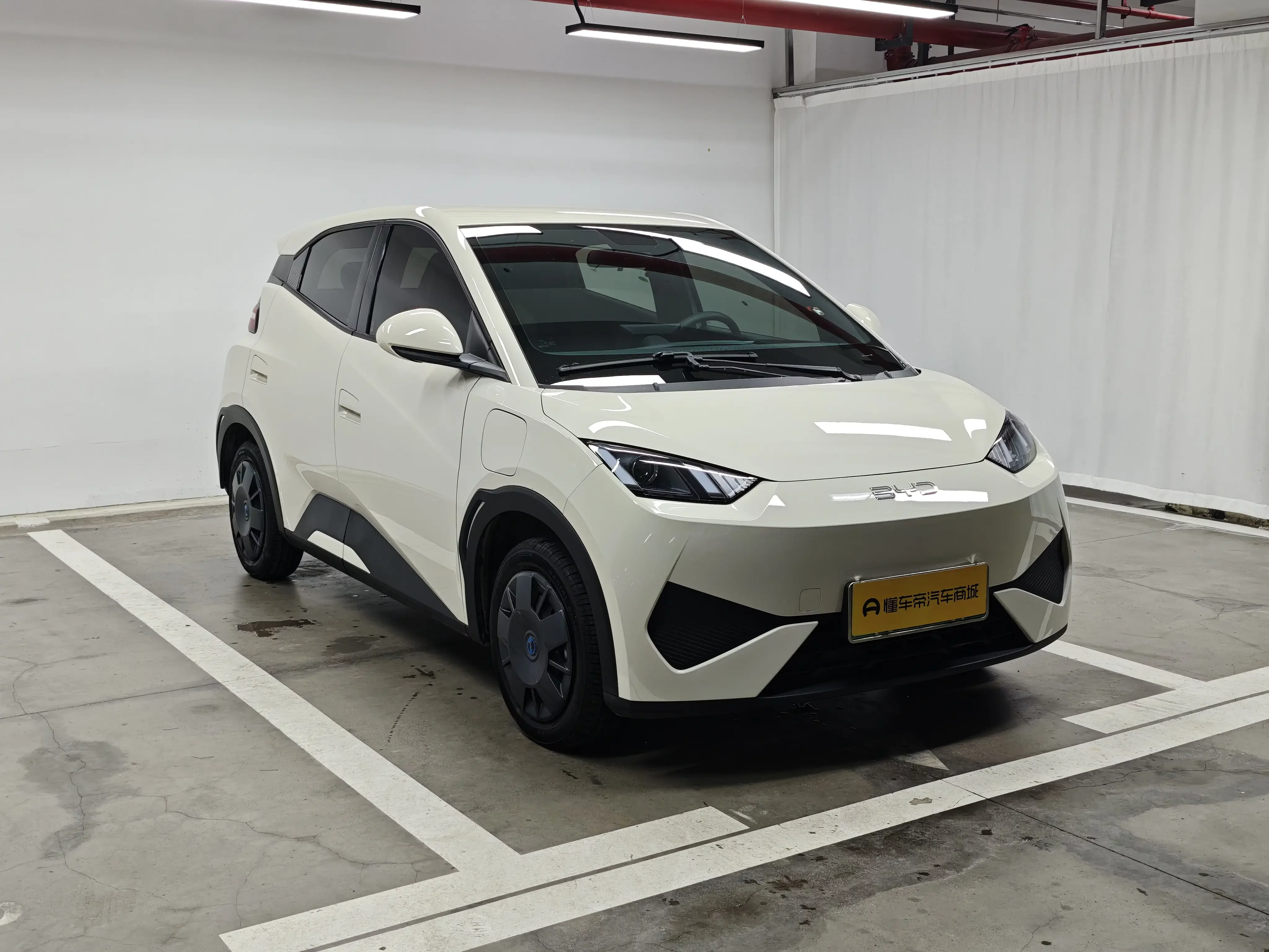 BYD seagull