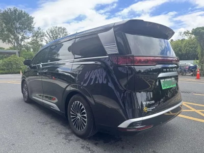 Denza D9 DM