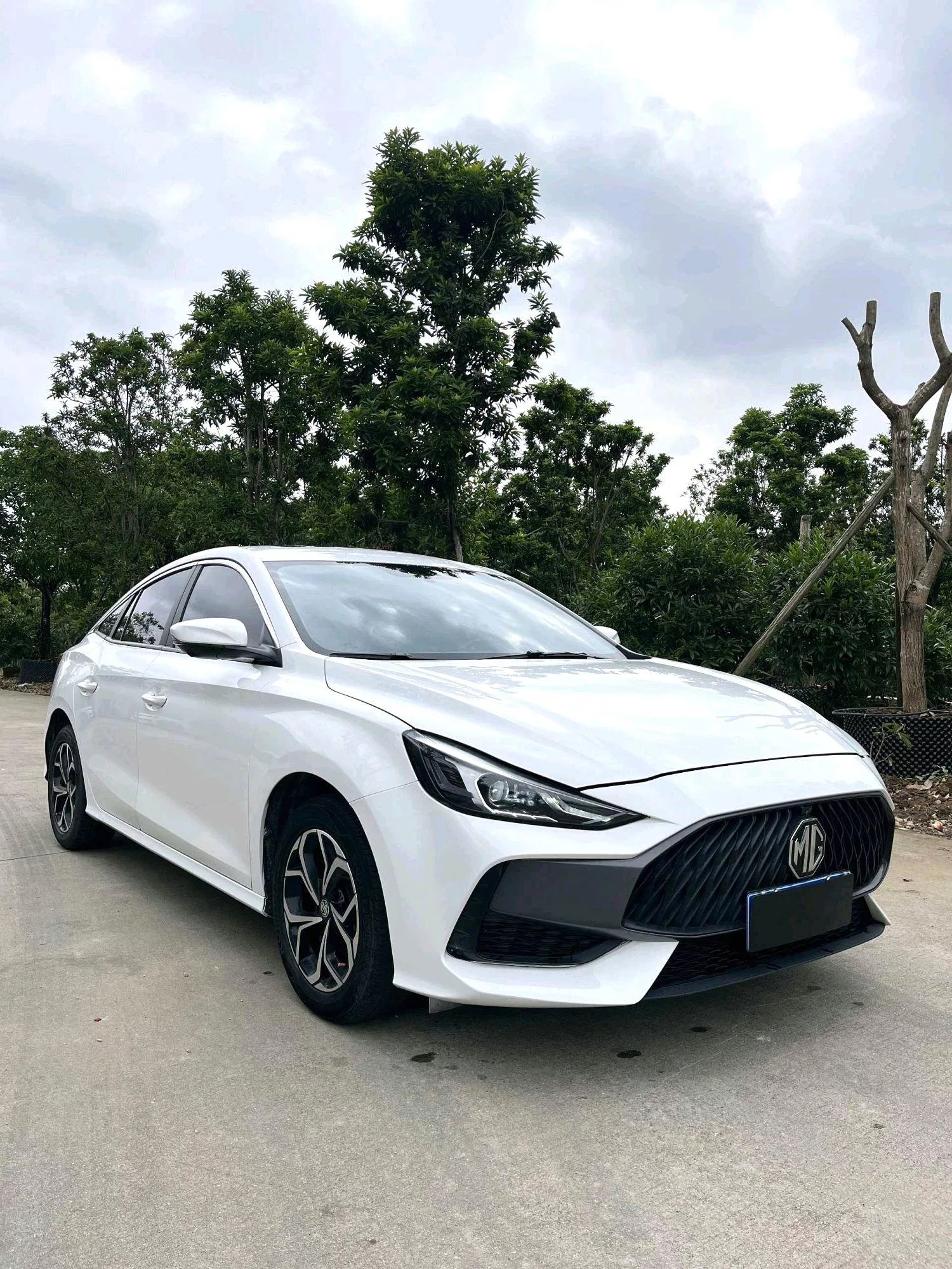 MG 5