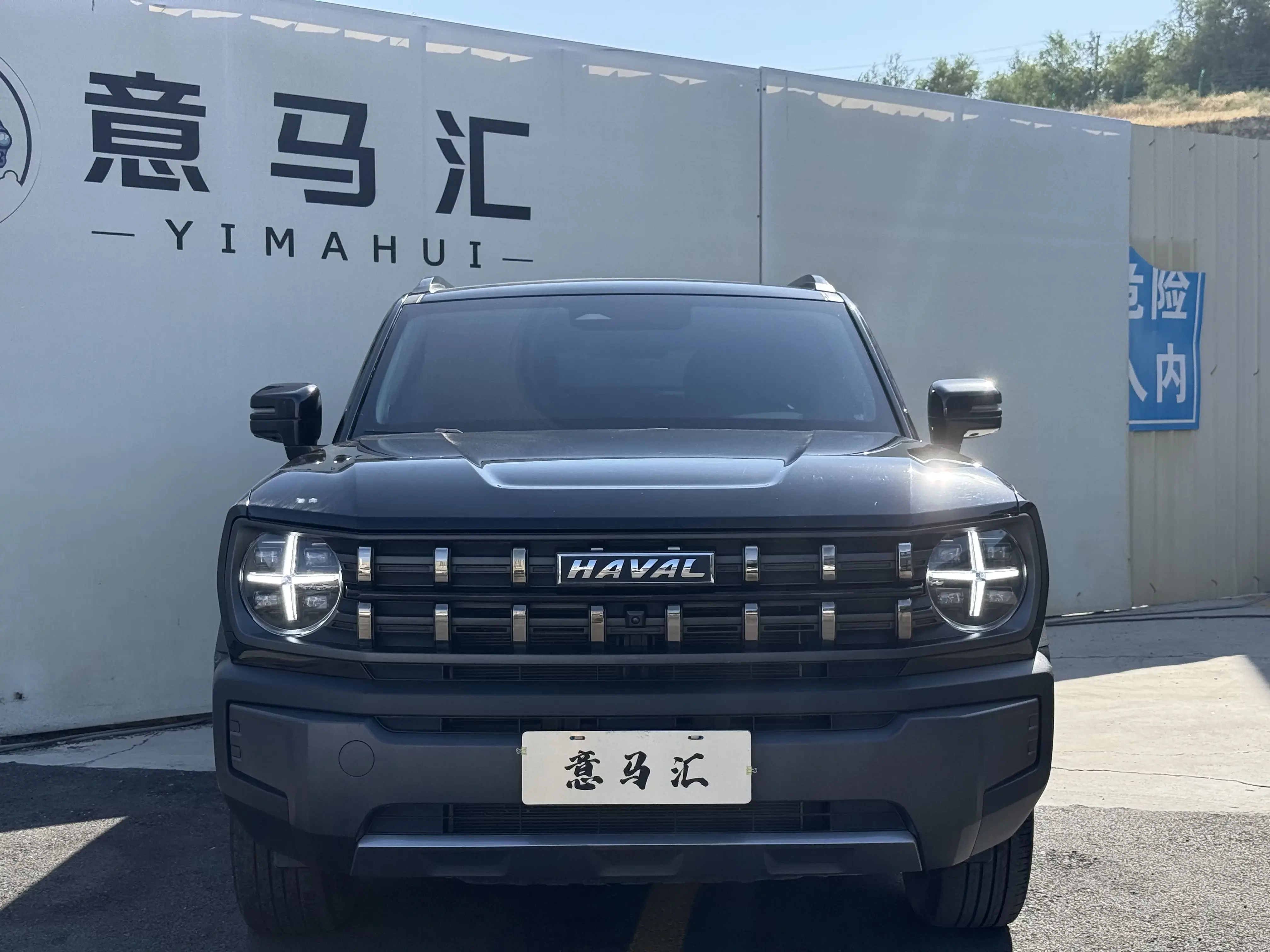 Haval cool dog