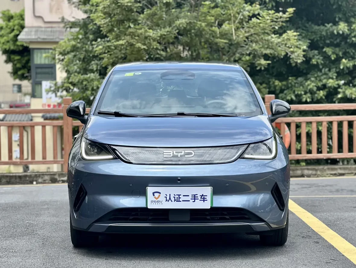 BYD dolphin