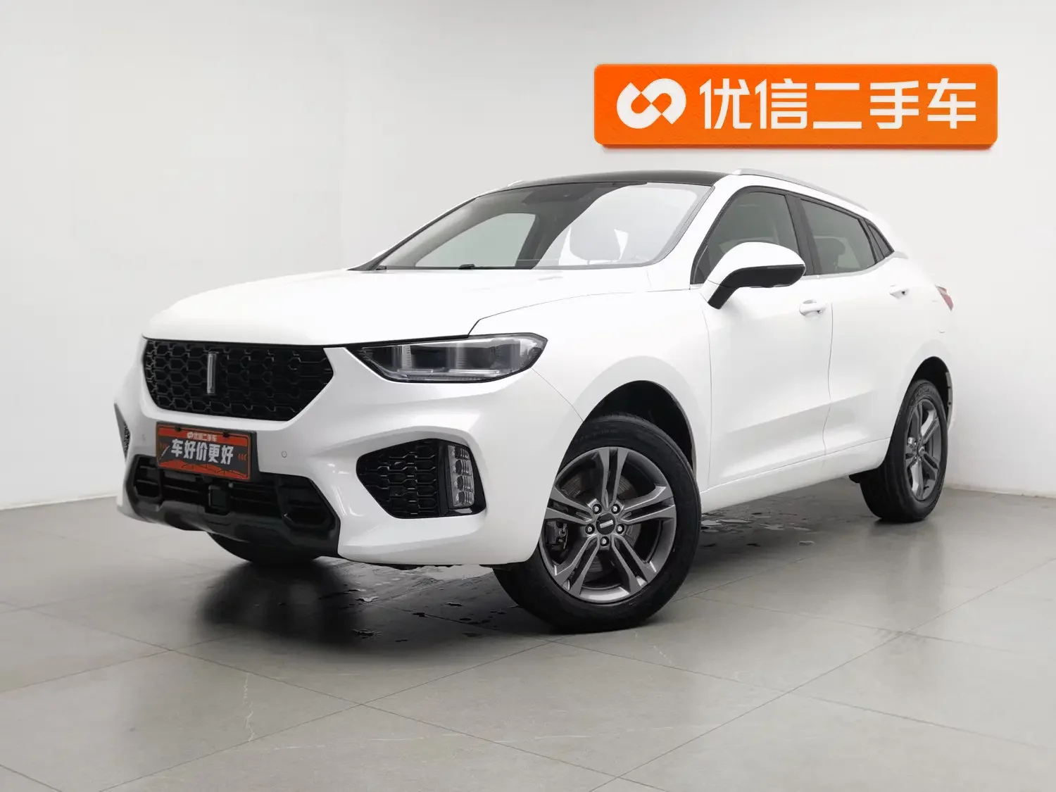 Wey Wei brand VV5