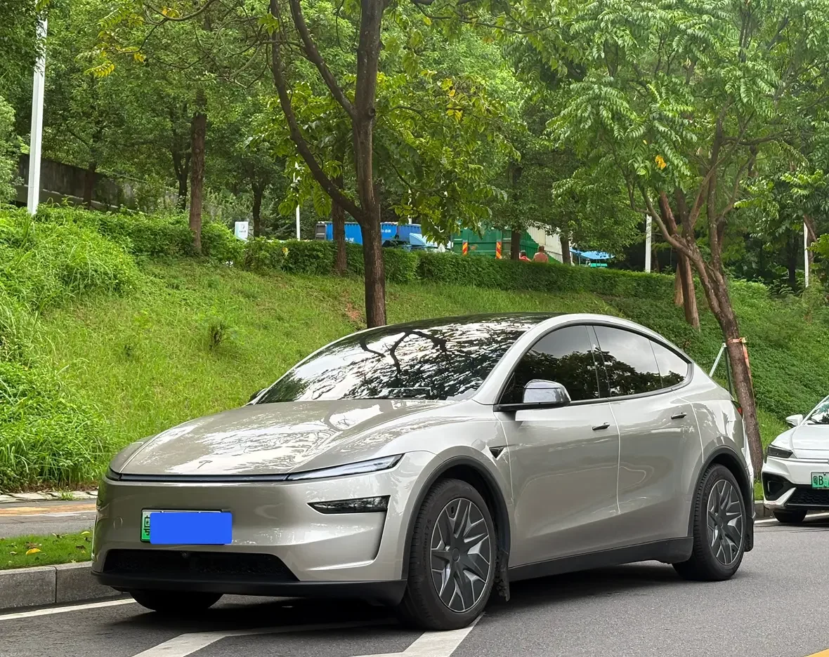 Tesla Model Y L  из Китая