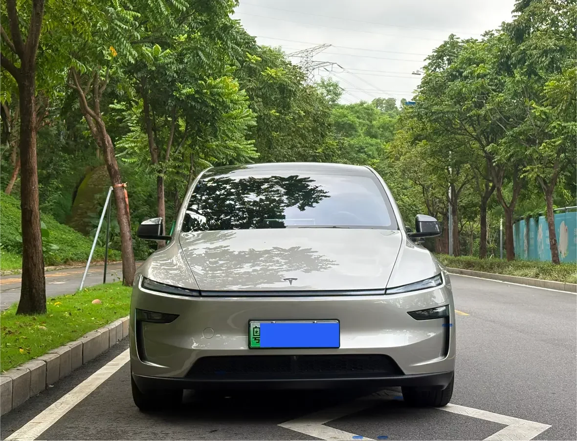 Tesla Model Y L  из Китая