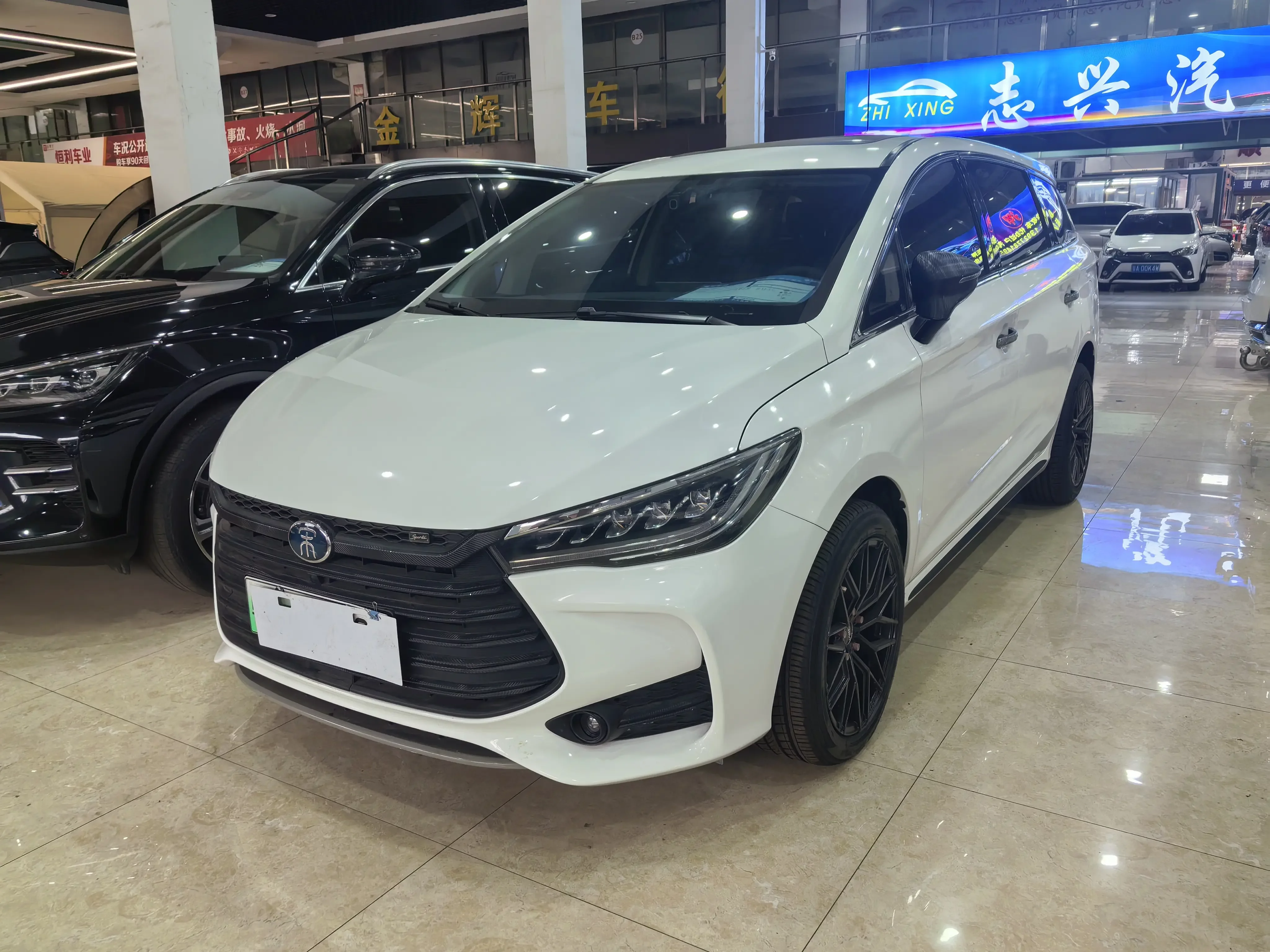 BYD Song MAX DM