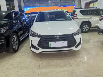 BYD Song MAX DM