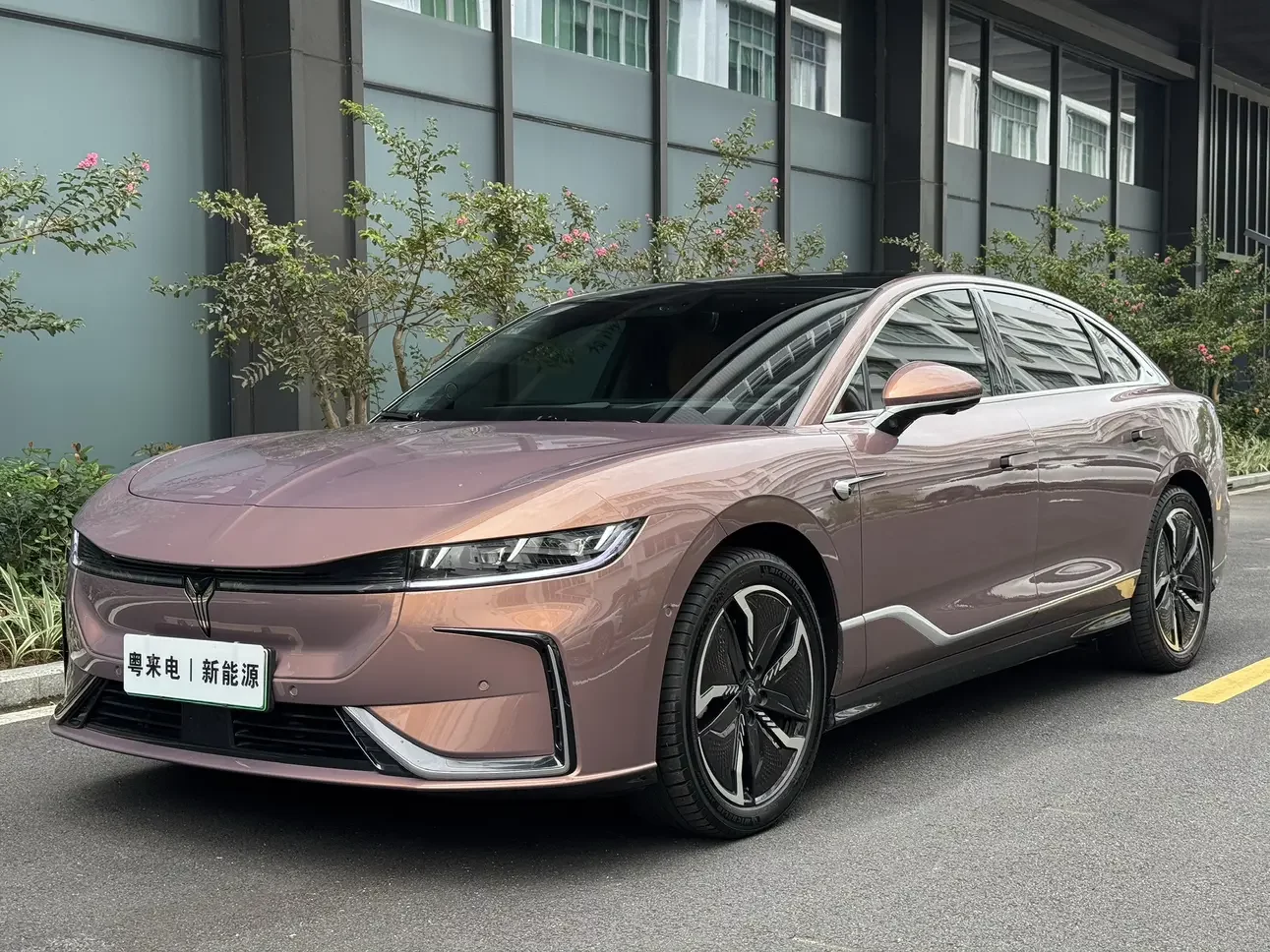 Voyah ELECTRIC EV