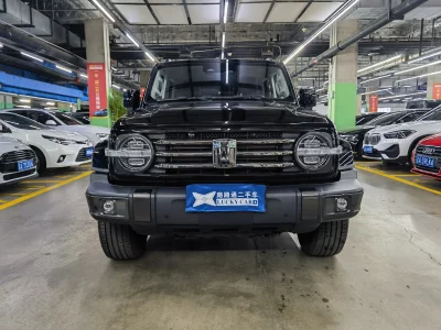 TANK 300
